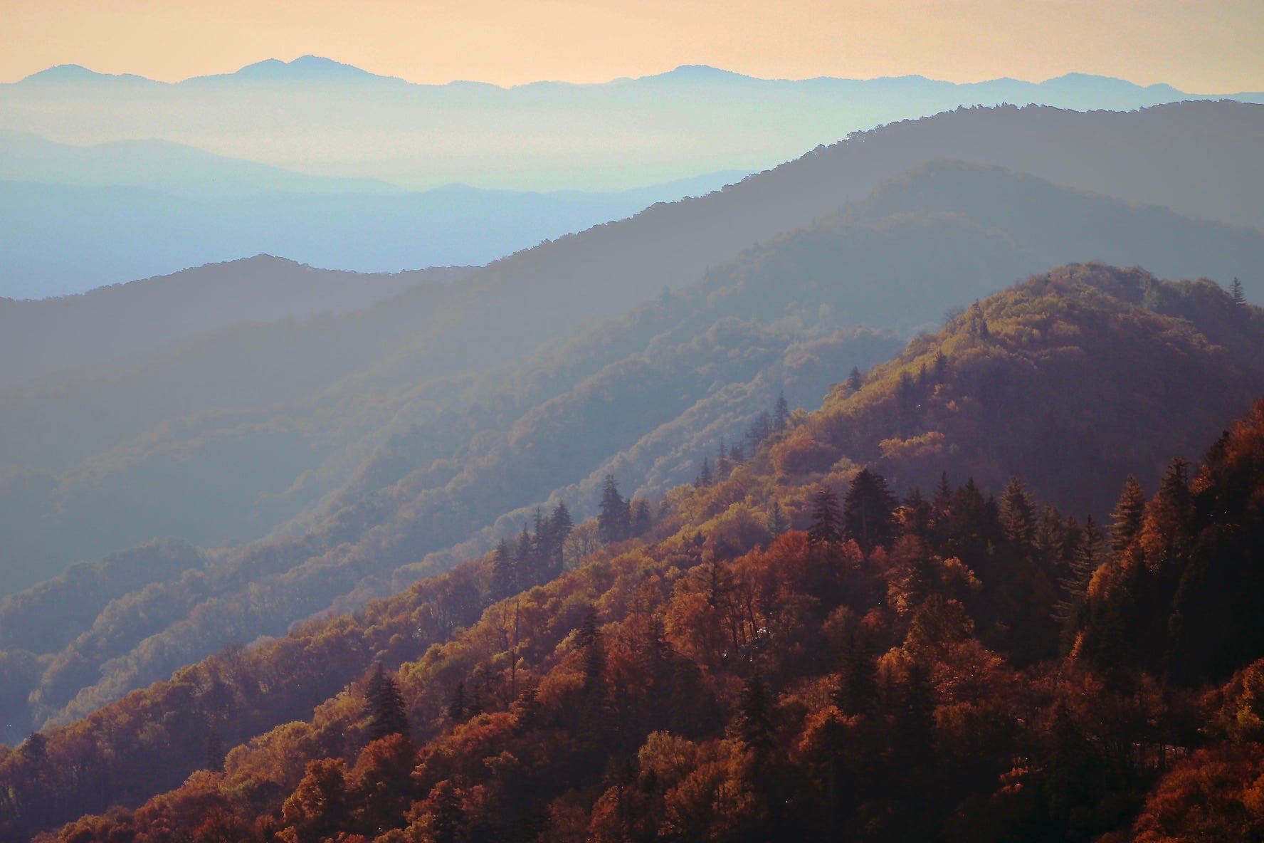 Image of this blog post